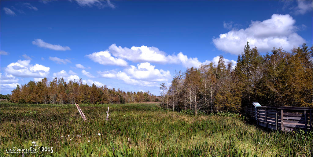 11-28-15 Green Cay    4.jpg