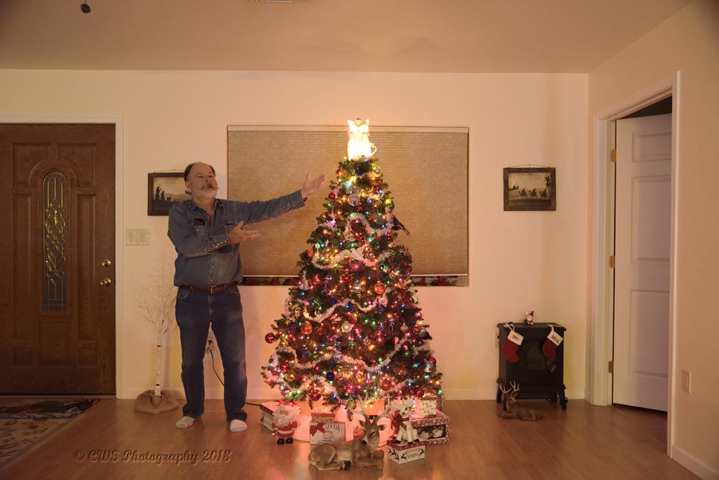 11-29-18-ce__7508261.jpg