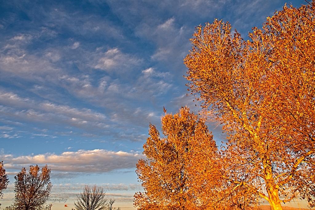11-29-2020-cr__7503618-ON1.jpg