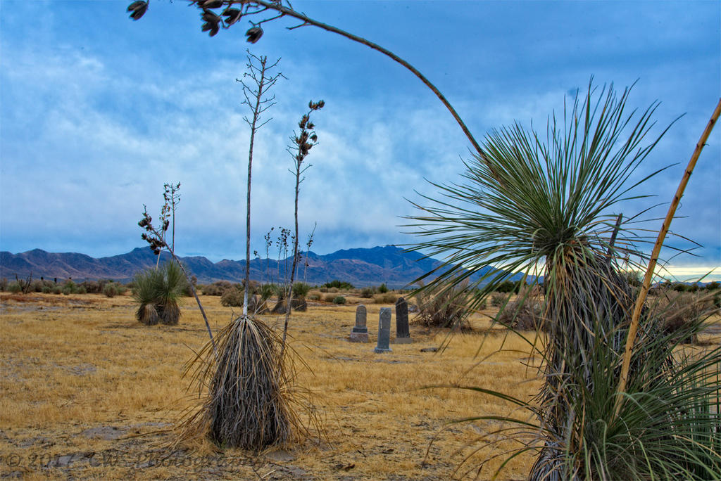 11-7-17-cr__7502759_HDR.jpg