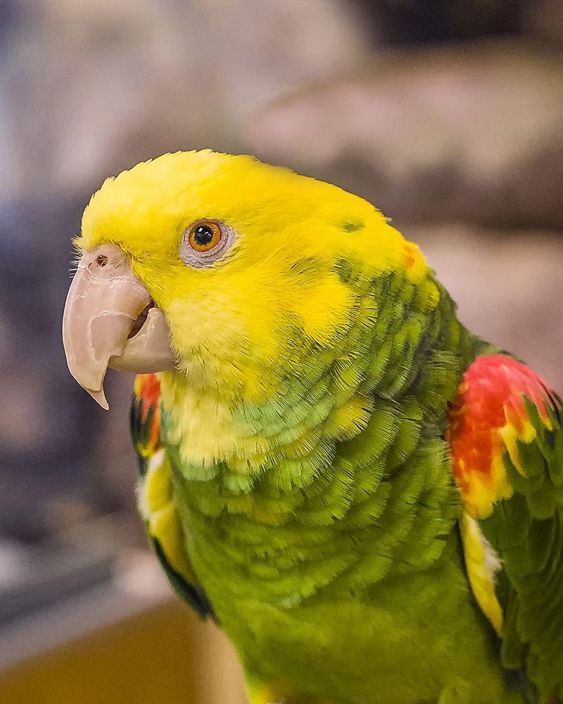 11 May 2015 - Who Wants a Cracker.jpg