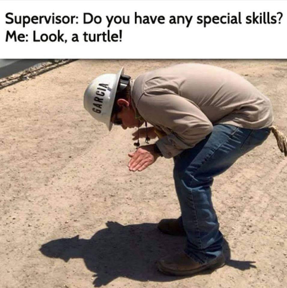 116245377_175438093988892_413685743266953818_n.jpg