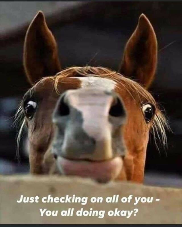 117164843_3224250710944180_4734633084221077091_n.jpg