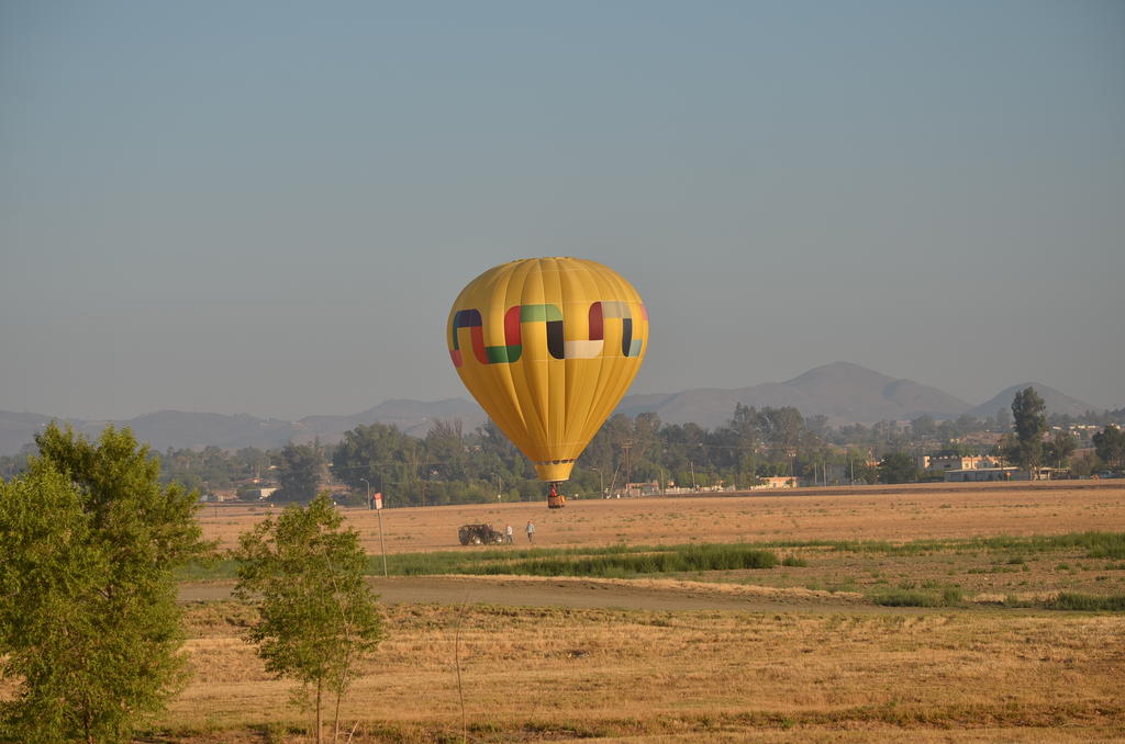 11th August 2013-1 014.jpg