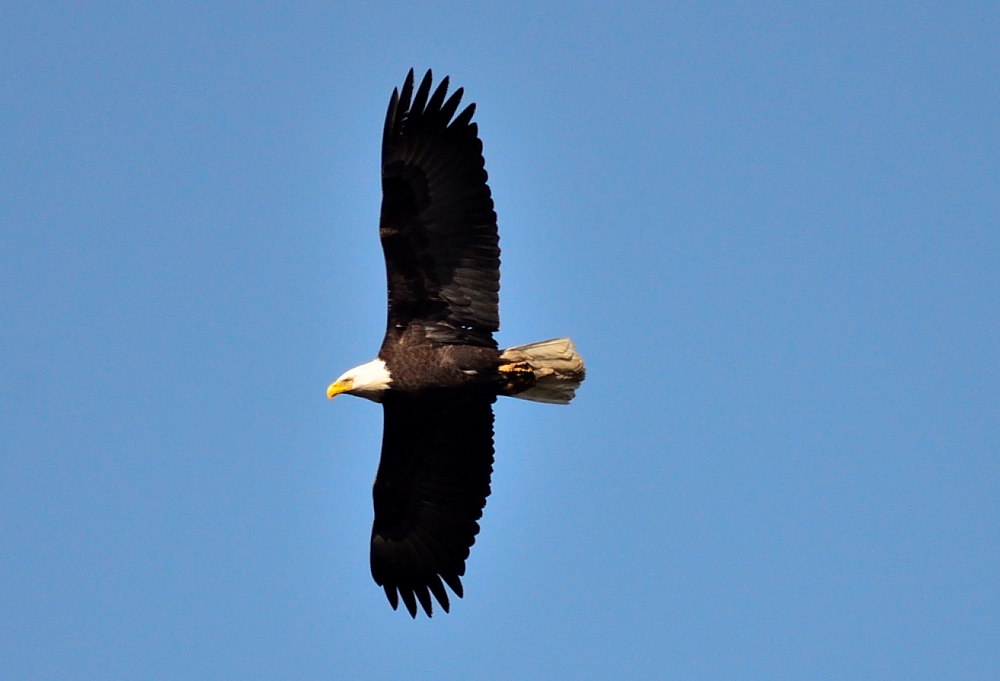 11th May 2014 - 131 042.JPG