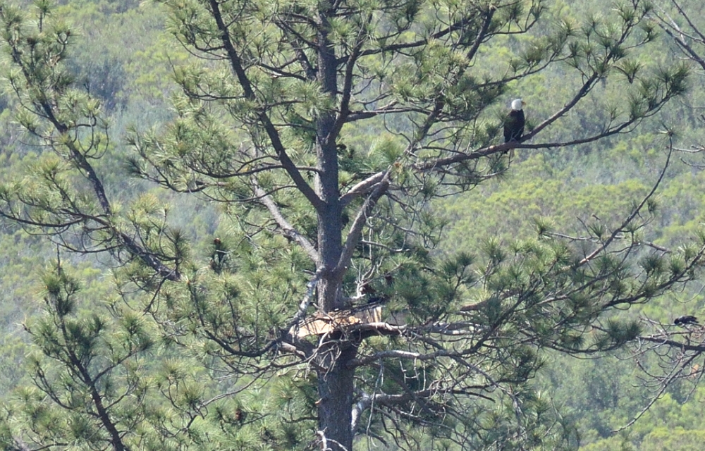 11th May 2014 - 131 145.JPG