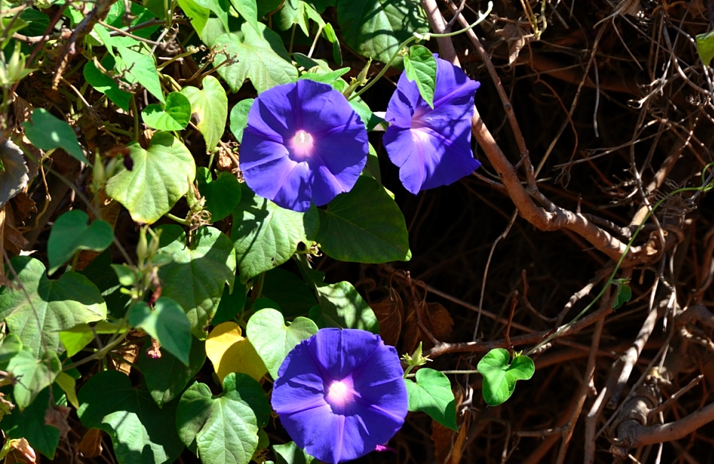 11th Oct 2014 042.JPG