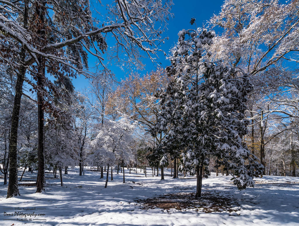 12-09-2017_0071-Edit.jpg