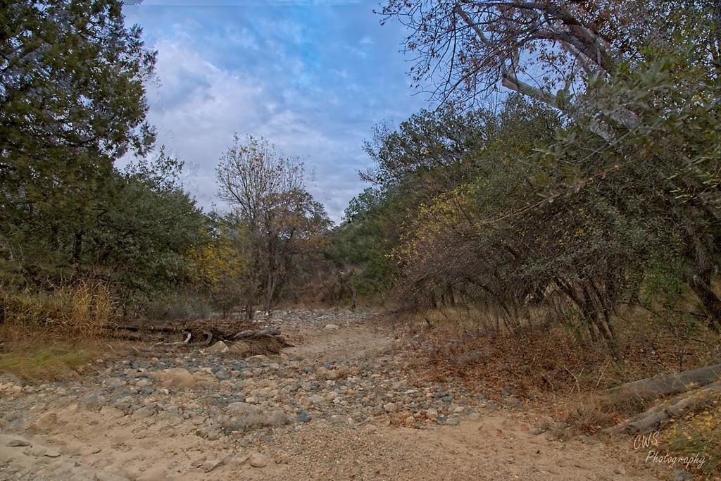 12-09-21-CR-_7506116_HDR-2021-12-09-161531_ -ON1.jpg