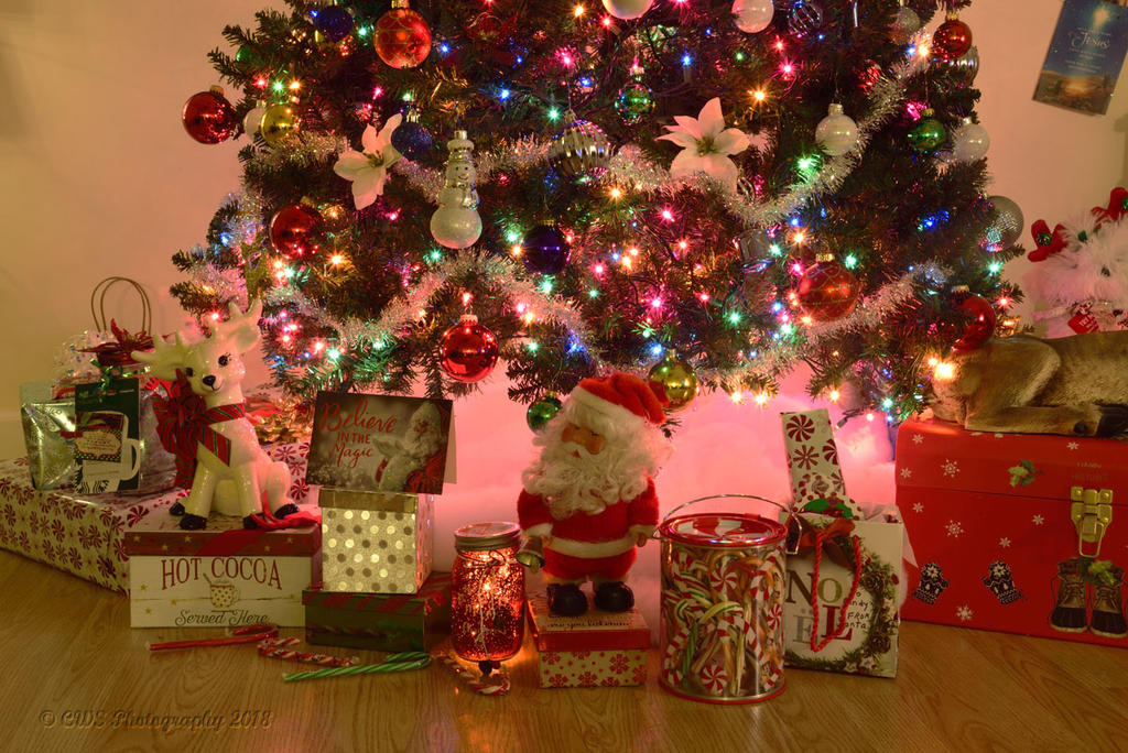 12-12-18-cr__7508491.jpg