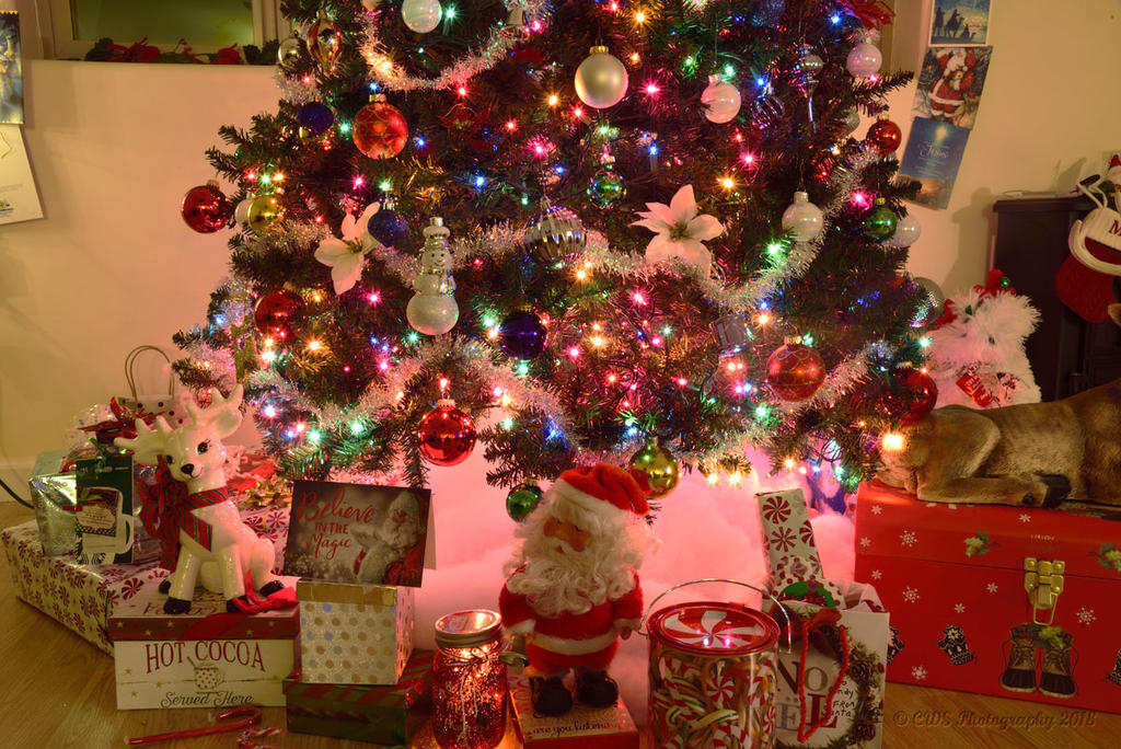 12-12-18-cr__7508492.jpg