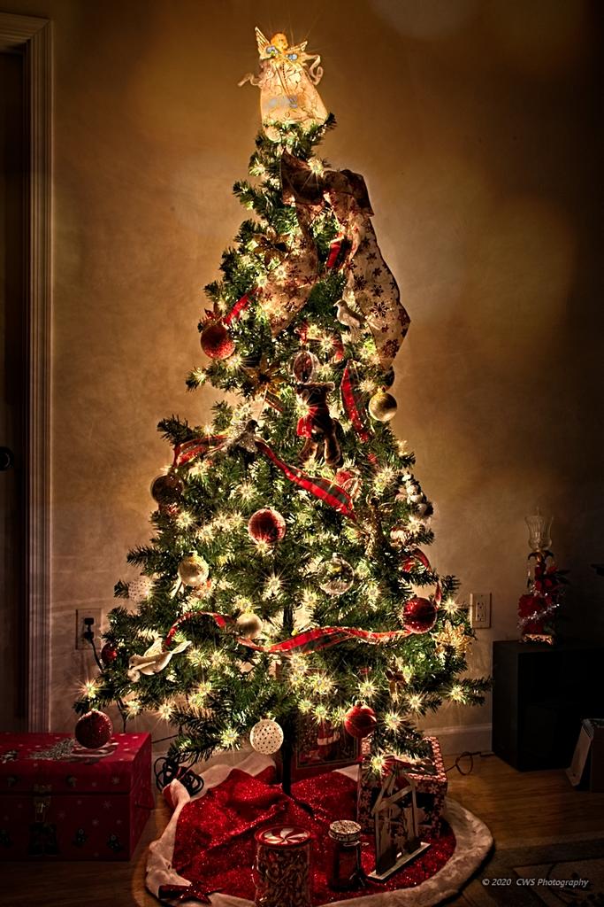 12-15-2020-cr__7503660-ON1-2.jpg