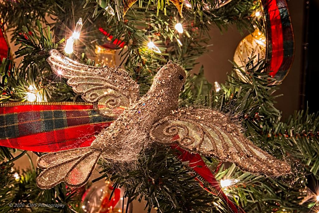 12-15-2020-cr__7503666-ON1-2.jpg