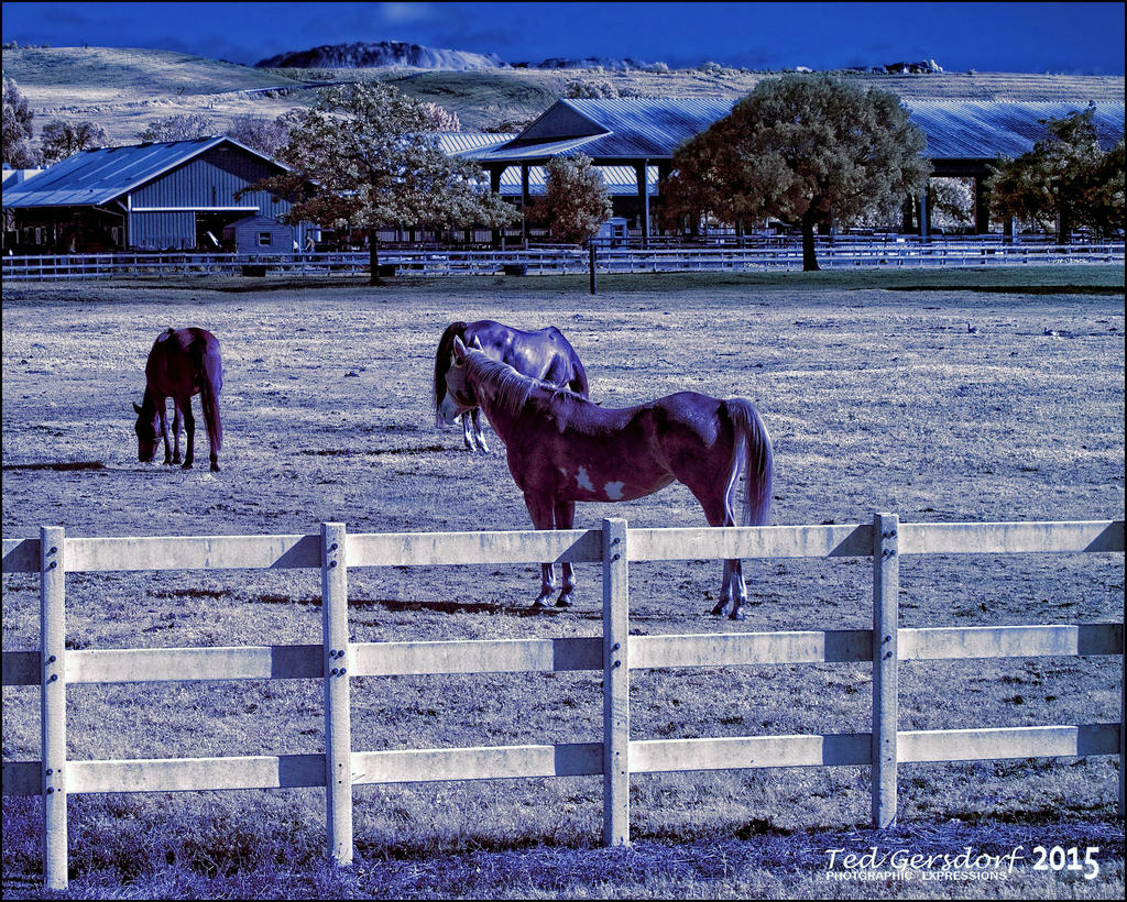 12-16-15 Tradewinds IR   1.jpg