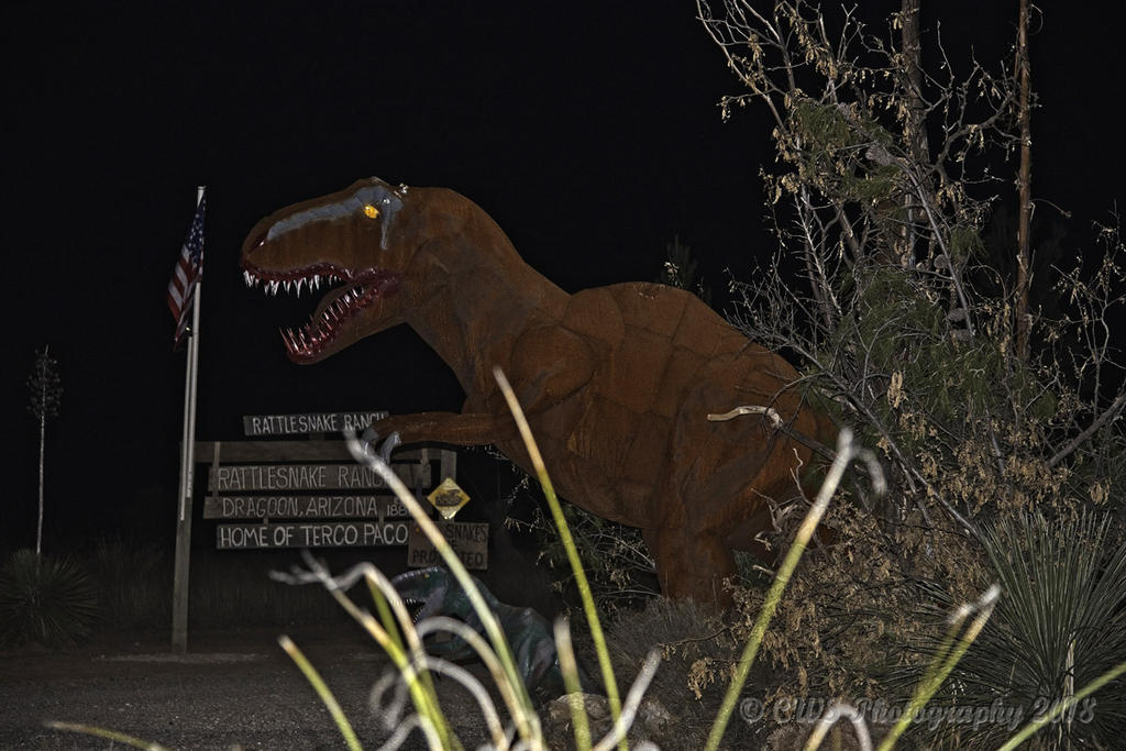 12-17-2018-dino-cr_7508589-ON1.jpg