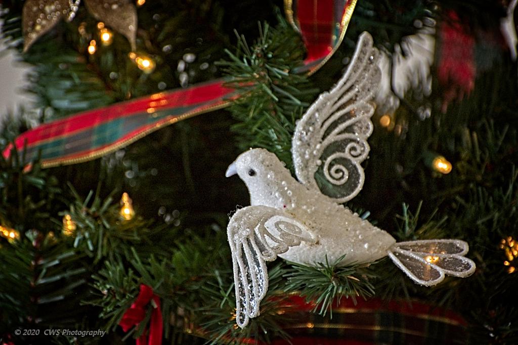 12-20-2020-cr__D7K4782-ON1.jpg