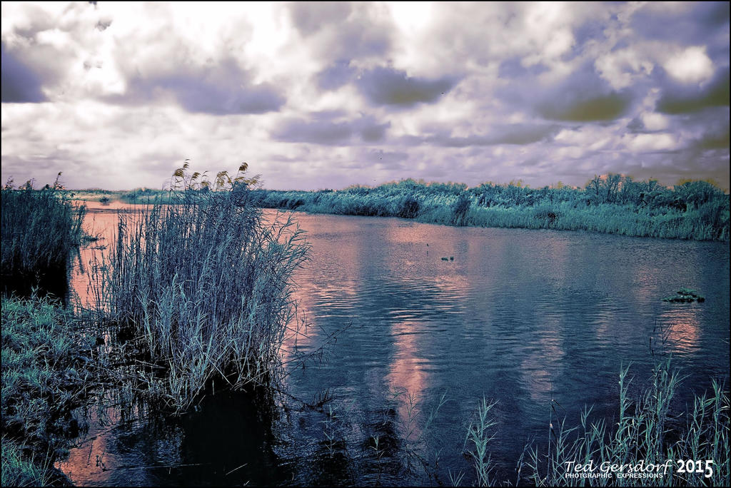 12-21-15 Loxahatchee IR    3.jpg
