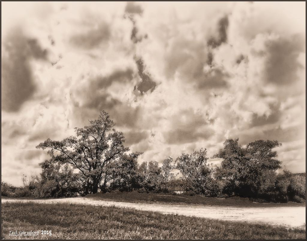 12-21-15 Loxahatchee IR    5BW.jpg
