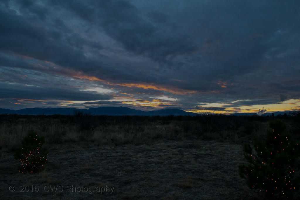 12-29-16-cr_DSC_4417.jpg