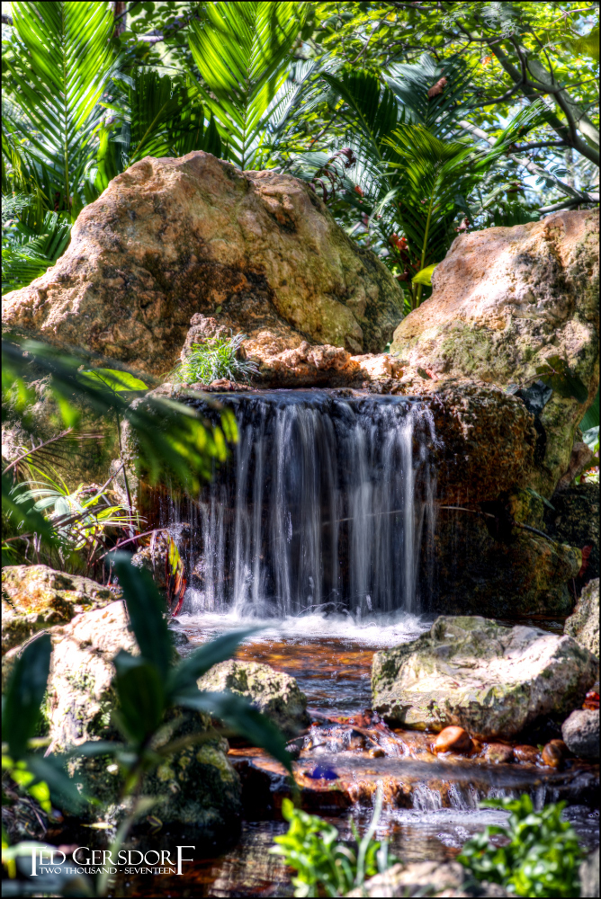 12-31-16 DFB Arboretum   15Small_2228CMA  8-28-2015.JPG