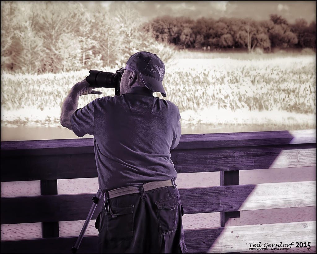 12-31-2015 Wetlands    3.jpg