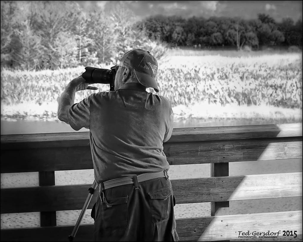 12-31-2015 Wetlands    3BW.jpg