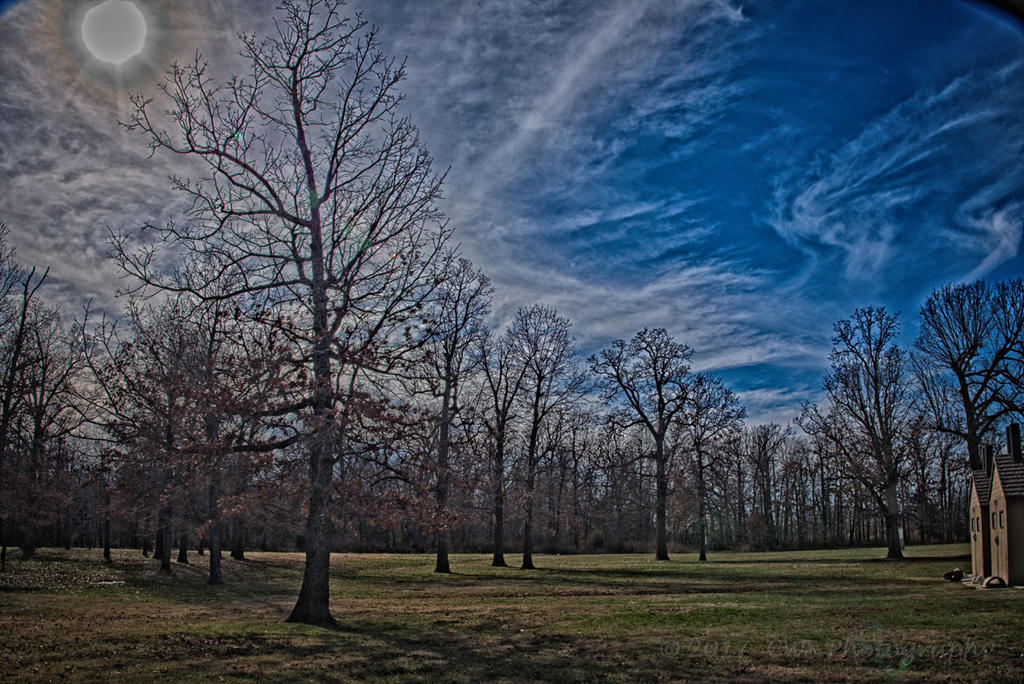 12-5-17-cr_7503281_HDR-ON1 copy.jpg