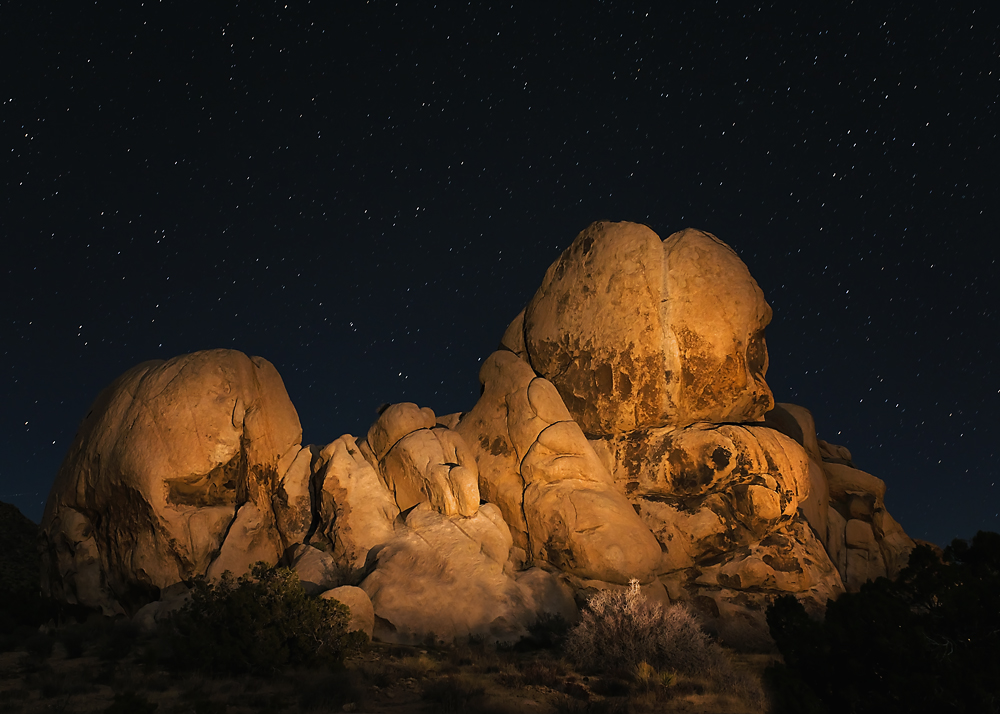 12 February 2016 - Light Painting in Joshua Tree.jpg