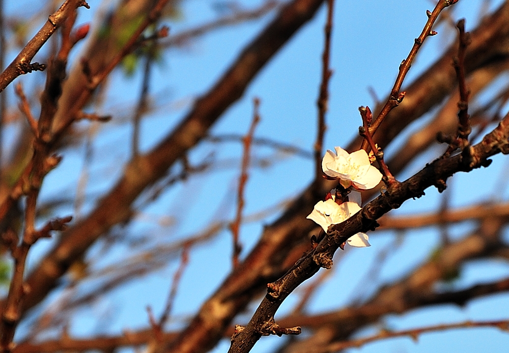 12th Feb 2014 010.JPG