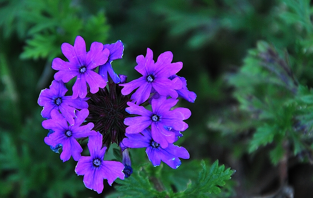 12th Feb 2014 015.JPG