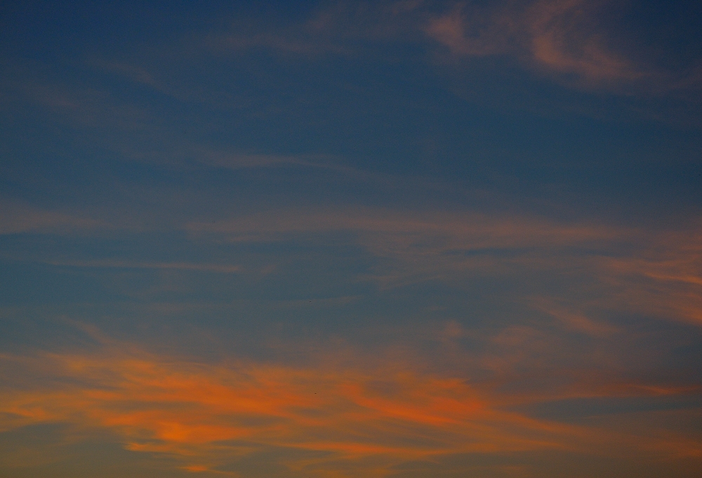 12th Feb 2015 014.JPG