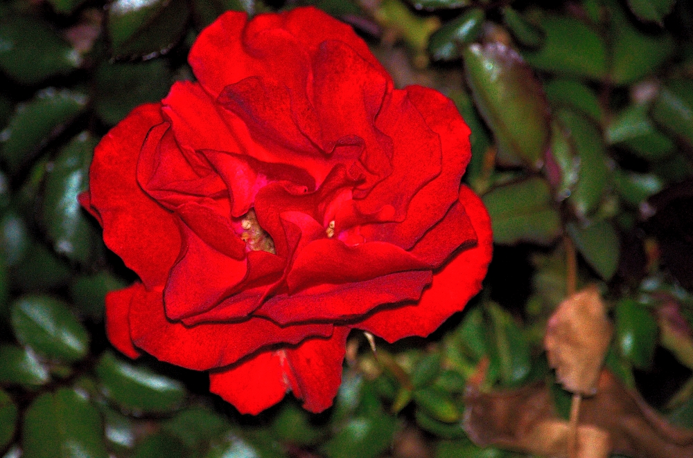 12th Feb 2015 019.JPG