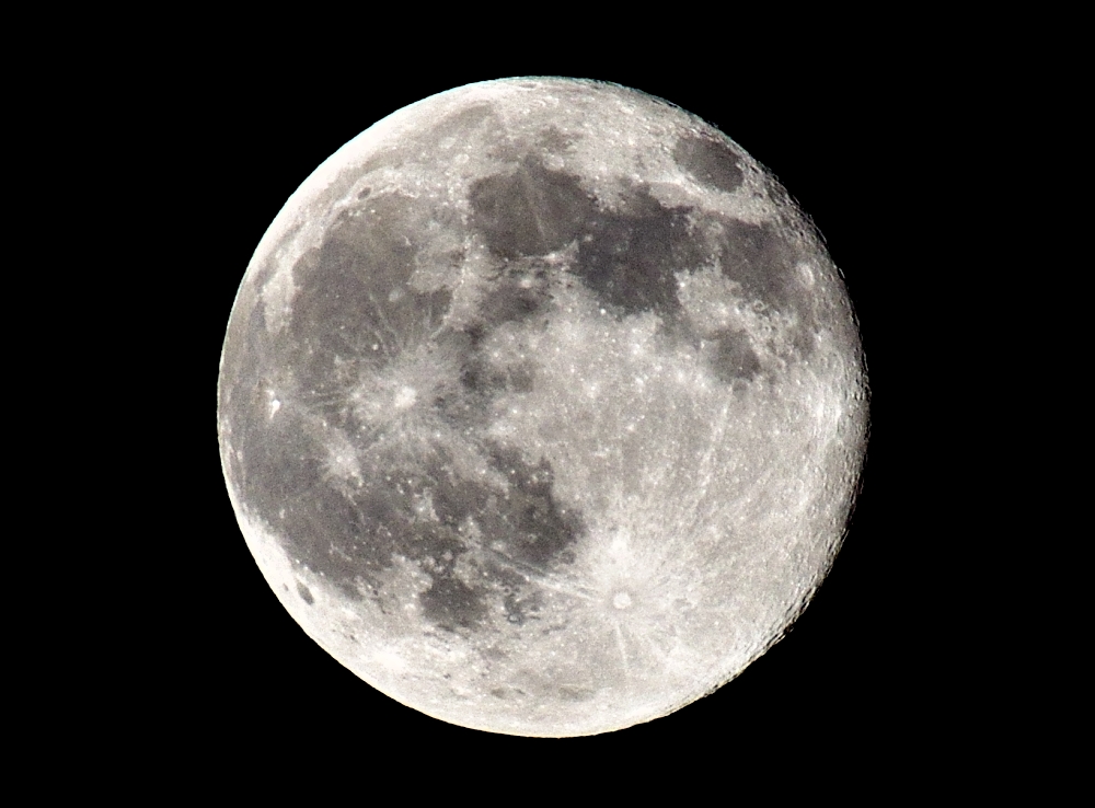 12th  July 2014 020.JPG