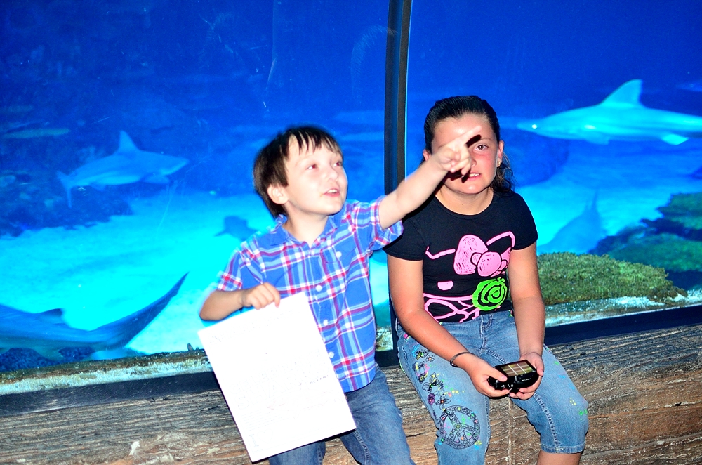 13 - 14-15th Aug 2014 130.JPG