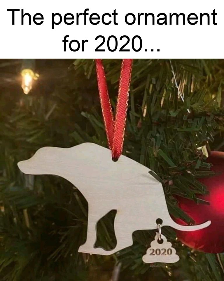 131940174_3667214573316233_7670696398669982355_n.jpg