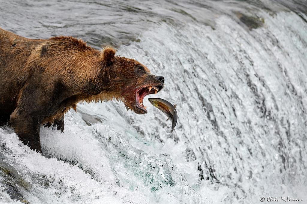 13653001_10210239322840368_3805968309561665440_o.jpg 13653001_10210239322840368_3805968309561665440_o.jpg