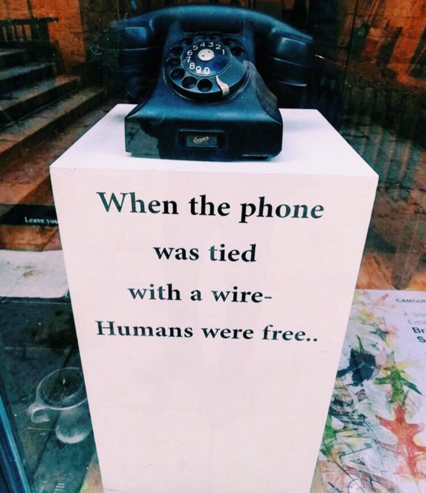 13D887D6-E266-4591-85A5-AF1F6A629D38.jpeg