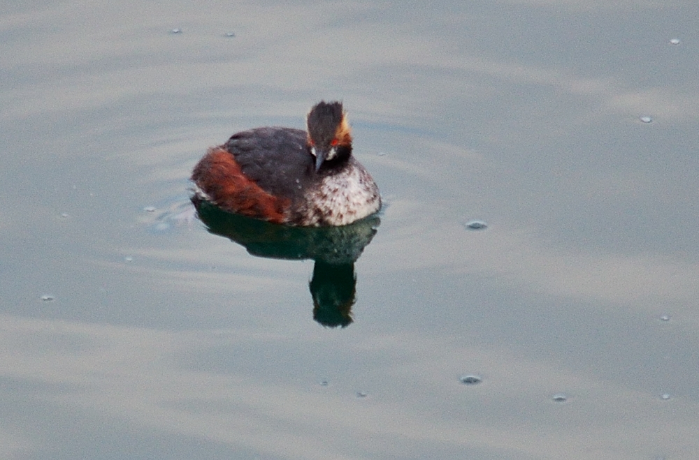 13th Apr 2014 007.JPG