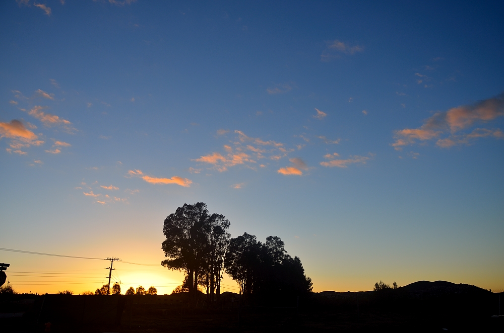 13th Dec 2014 015.JPG