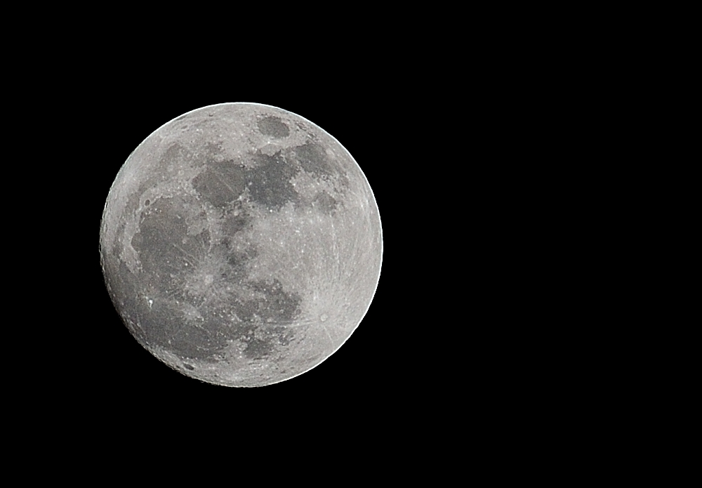 13th Feb 2014 004.JPG