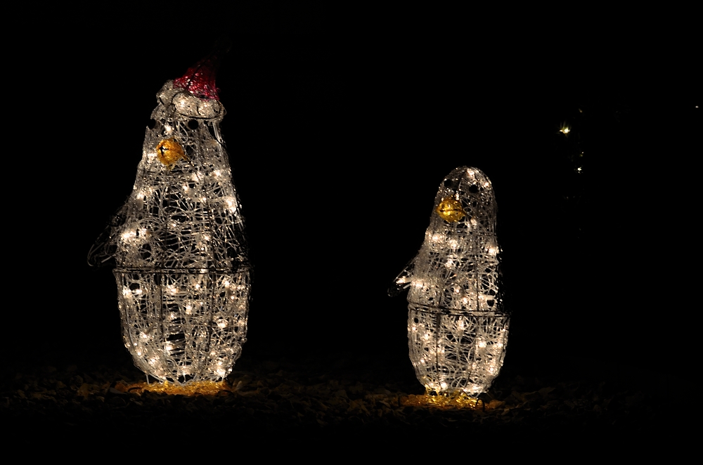 14 15 16 17th Dec 2014 013.JPG