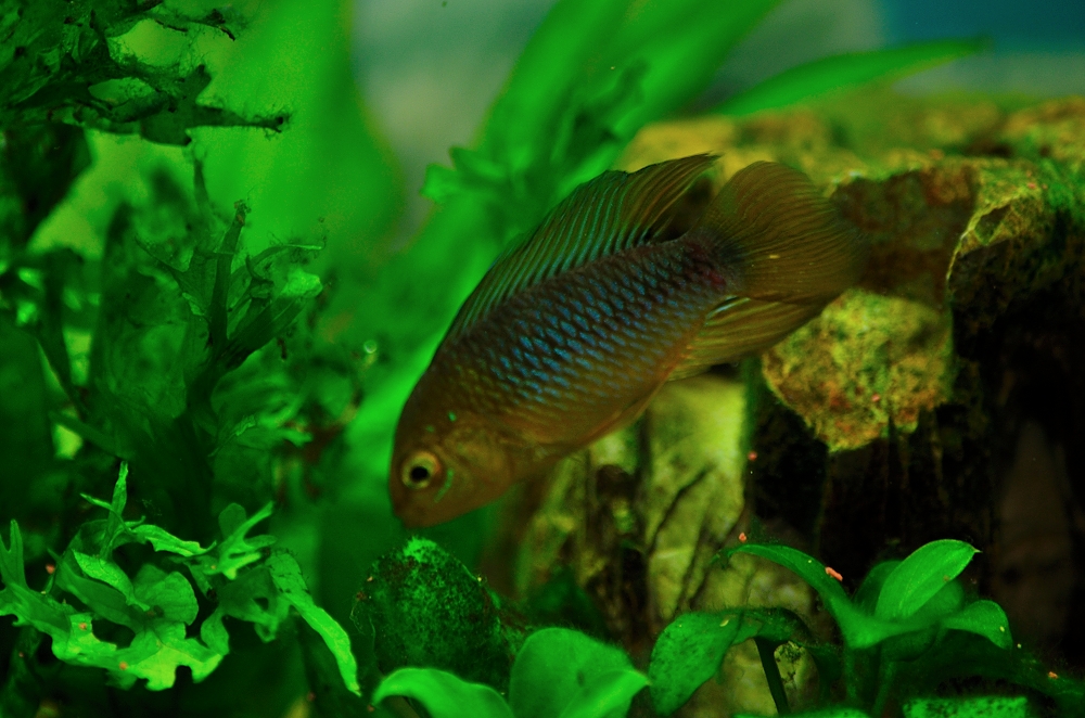 14 15 16 17th Dec 2014 018.JPG
