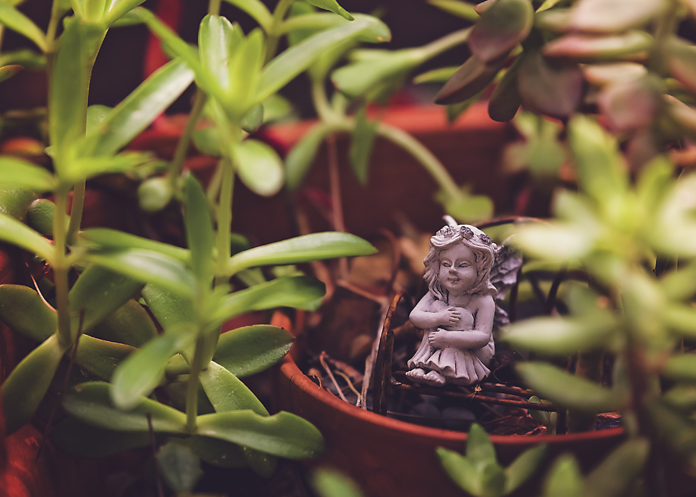 14 April 2016 - Fairy in the Garden.jpg
