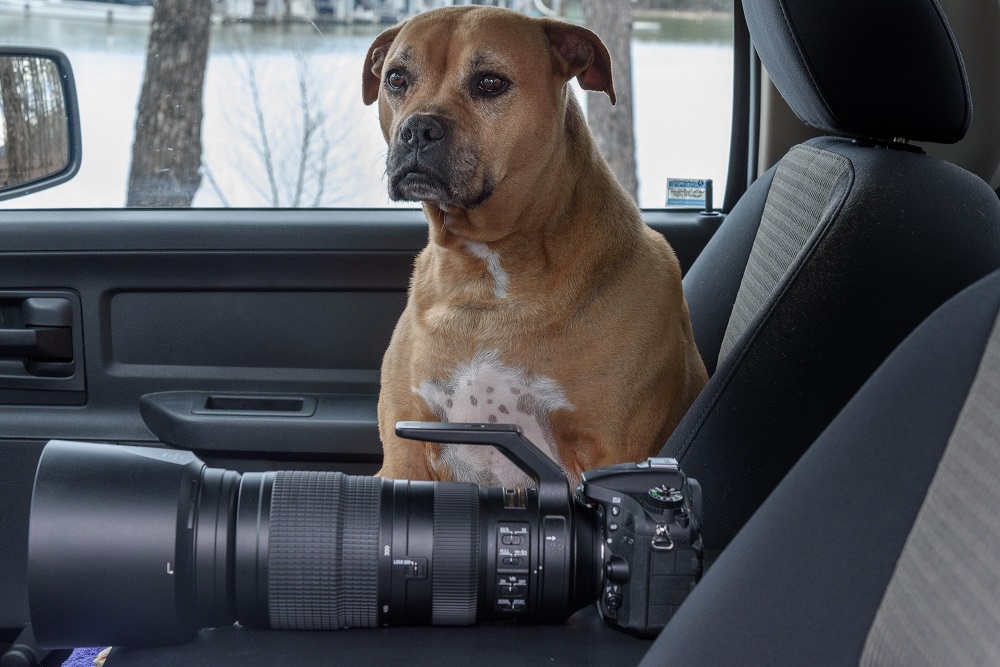 14102320_519879981544801_5565729629598047415_n.jpg 14102320_519879981544801_5565729629598047415_n.jpg