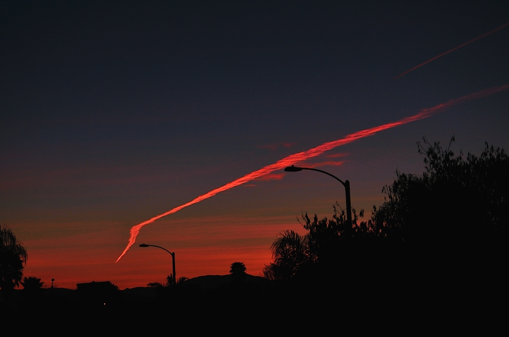 14th Feb 2014 001.JPG