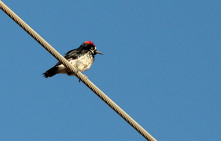 14th July 2015 011.JPG