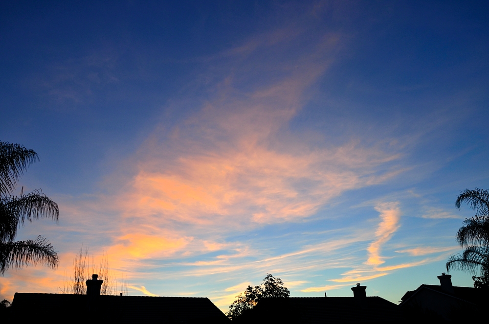 14th June 2014 009.JPG