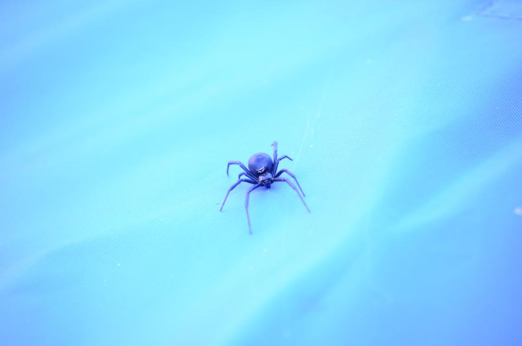 14th May 2013 009.jpg