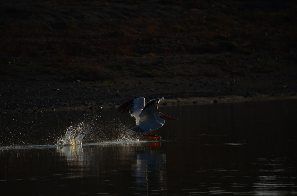 14th Sept 2013-2 098.jpg