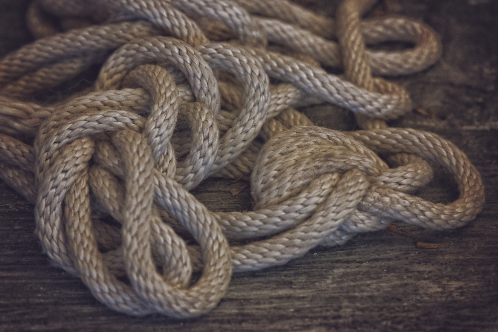 15 March 2016 - Secret Life of Rope.jpg